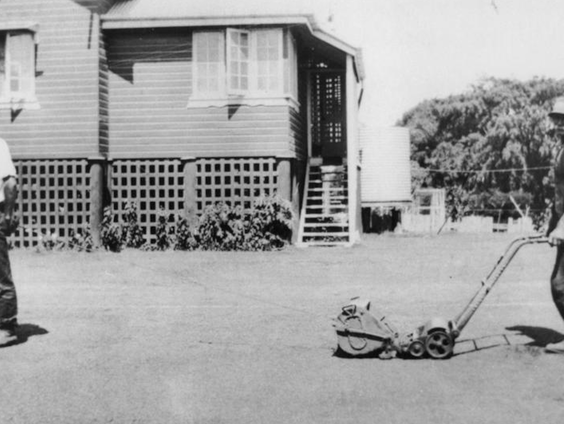 De geschiedenis van het gazon: waarom zijn we gaan maaien?