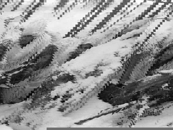 De Fins-Russische Winteroorlog