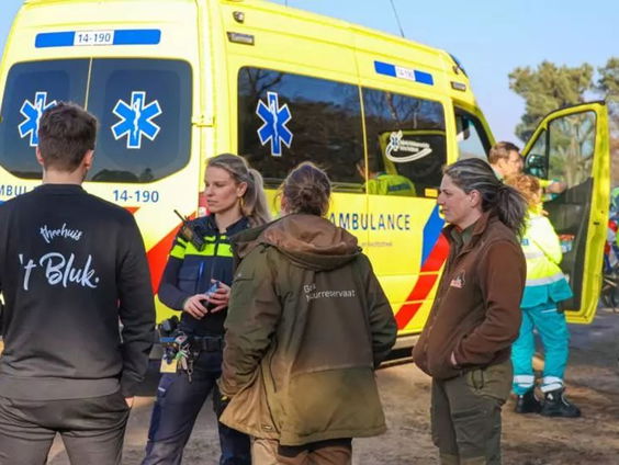 'Beesten in het nieuws'