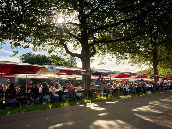 Is de introductieweek voor iedere student toegankelijk?