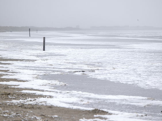 Waddenfonds begint nieuw duurzaamheidsproject in twee gemeenten