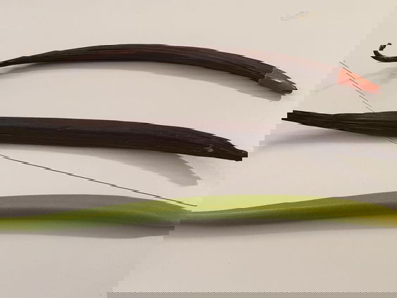 Vanille van eigen bodem