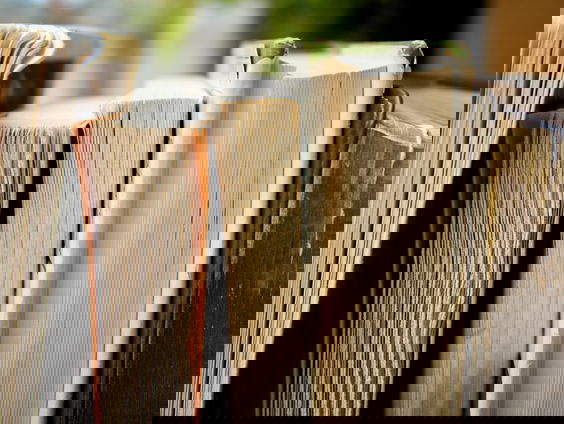 Wie was de Brabantse fascist en priester Wouter Lutkie?