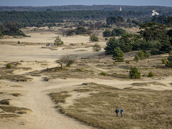 Nederlandse natuur moet eigen rechten krijgen