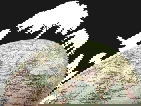 Biodiversiteitstop: wat staat er op het spel?