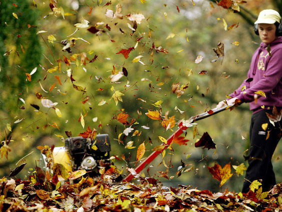 Het sociale werkbedrijf staat in het rood