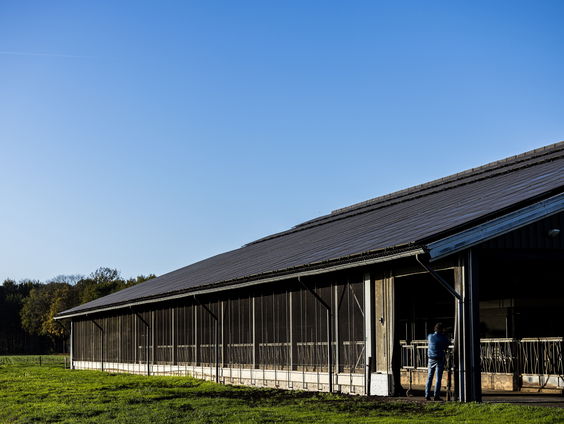 Vertrouwenspersoon voor boeren die worden benaderd voor dubieuze zaken