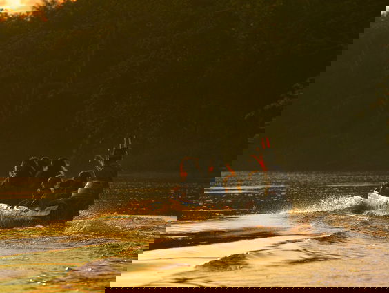 Stilstaan bij de rechten van inheemse volkeren tijdens Indigenous Liberation Day