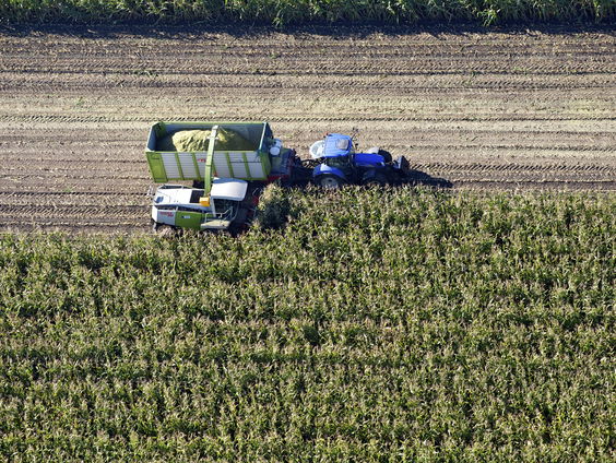Feit of fictie: maisteelt is slecht voor het milieu