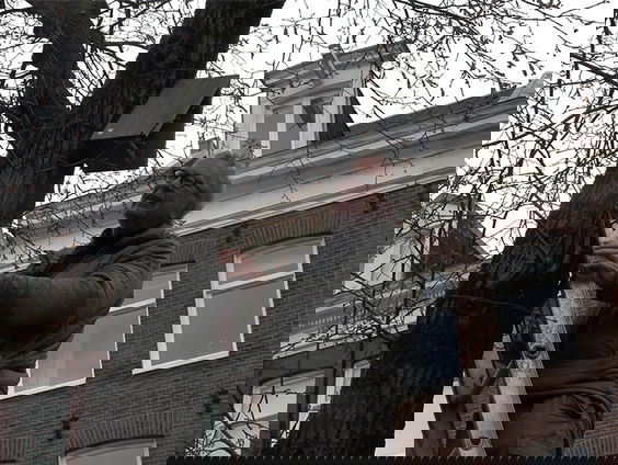 De Pijp in Amsterdam hangt vol met nestkastjes