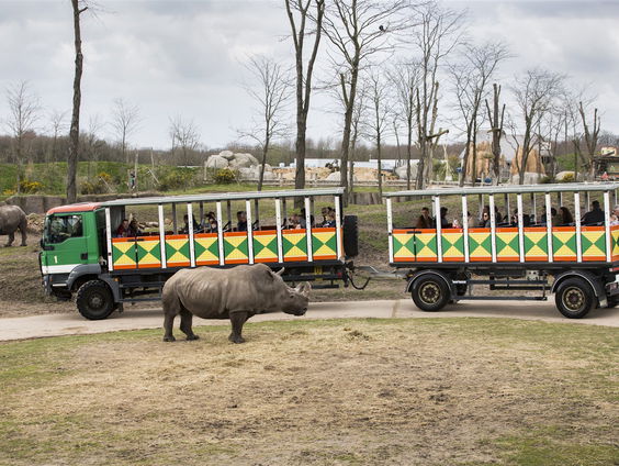 Hoe gaat het met Wildlands Emmen?