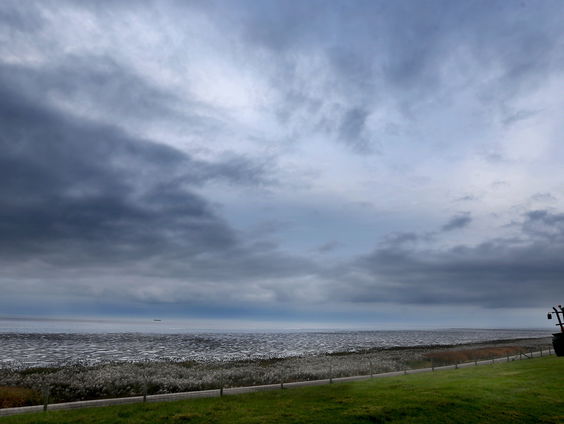 Het belang van kwelders in het Waddengebied