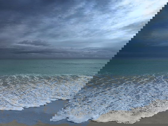 Oceaanleven kan niet zonder metalen