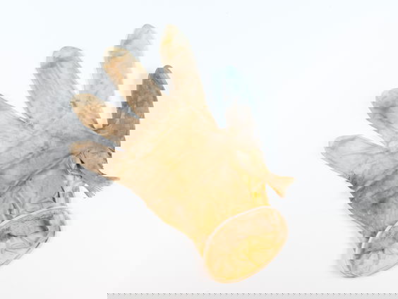 Handschoenvis gaat de wereld over