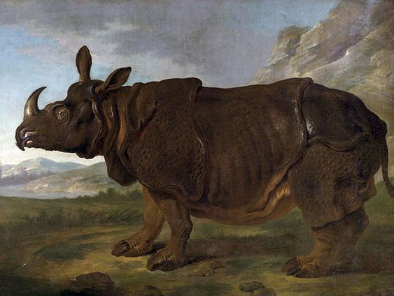 2e uur: Clara de neushoorn, 'De vergeten stad', Kernenergie OVT 16-10-2022.