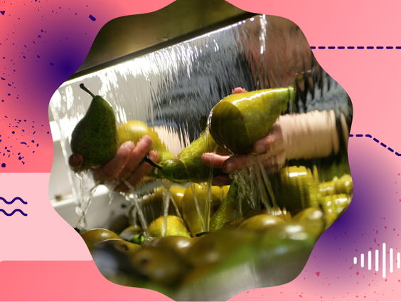 Bestrijdingsmiddelen, een ongelijke strijd