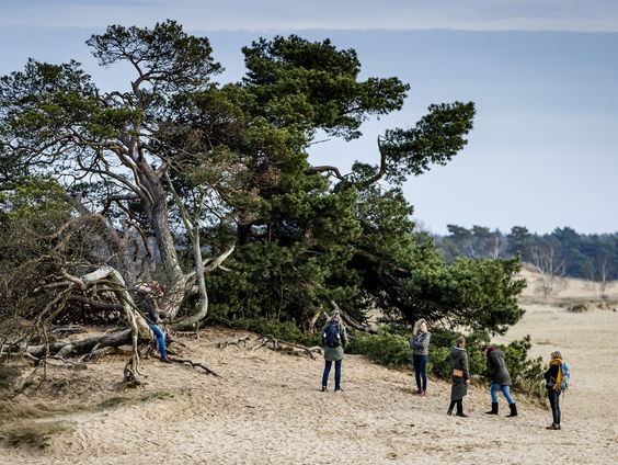 Kies wijzer met De Nieuws BV: Stikstof in Gelderland