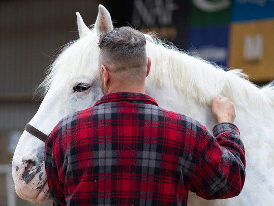 Veteranen met PTSS geholpen door paarden in project Horsepower