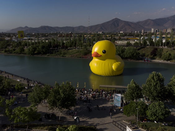 Kunstenaar Florentijn 'Papa Duck' Hofman over zijn nieuwste werk
