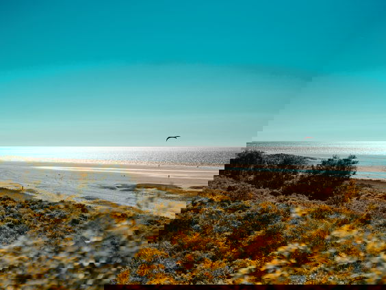 De zeespiegel stijgt, Nederland moet zich wapenen, maar hebben we wel genoeg zand?