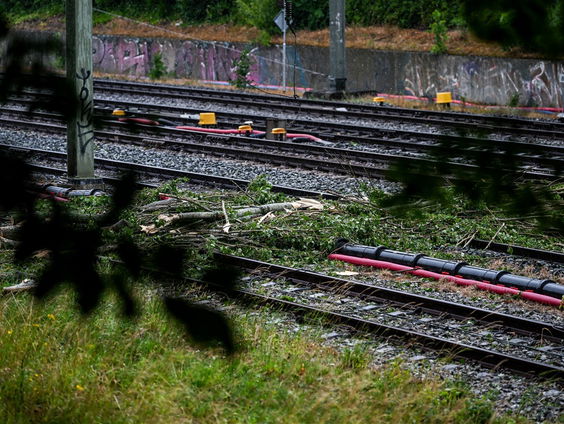 Boswachter Arjan Postma over de positieve kant van een storm
