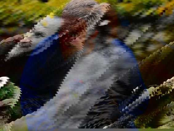 Zweedse B&B vol biodiversiteit van Bram Eijgenhuijsen