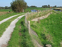 Rivierdijken moeten anders worden gemaakt