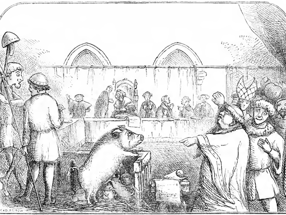 Dieren voor de rechter