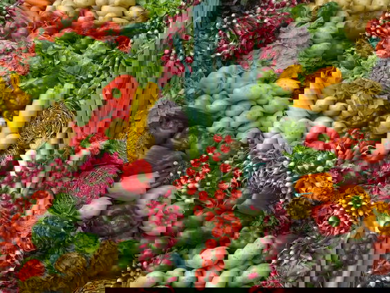 Europees Parlement stemt over gentech voedsel