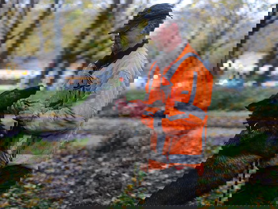 Speurhond Dora beschermt Amsterdammers tegen omvallende bomen