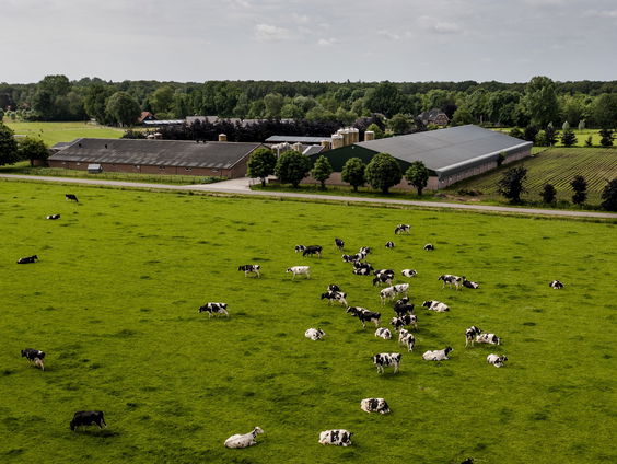 Nederlandse natuurgebieden gaan snel achteruit en dat ligt niet alleen aan stikstof