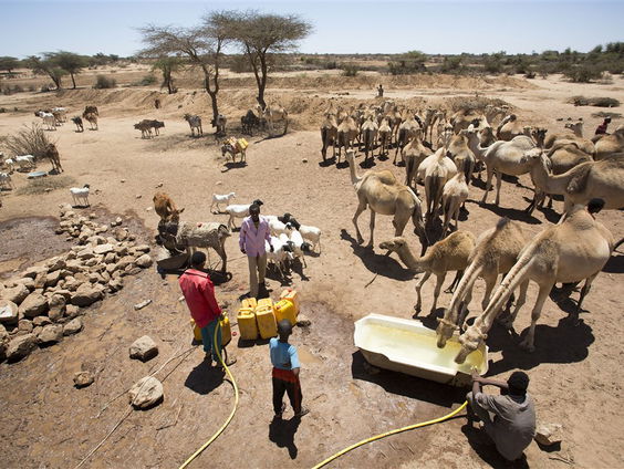 Stand.nl: 'Er moet veel meer geld naar de Hoorn van Afrika'