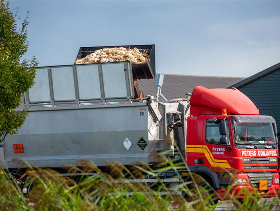 Hoe stoppen we de vogelgriep?