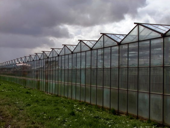 De Kortste Spreekbeurt: Westland