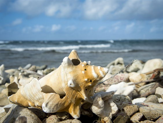 Overstromingen teisteren Bonaire