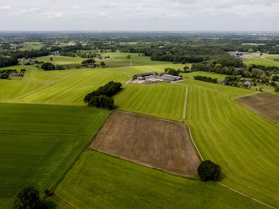 Natuur nog stikstofgevoeliger, om doelen te halen meer maatregelen nodig