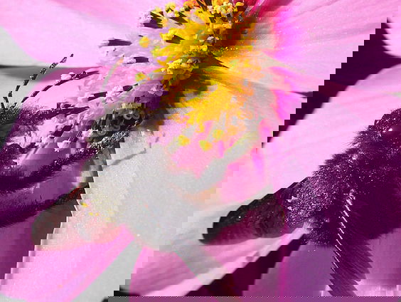 Fenolijn 2 juli 2023