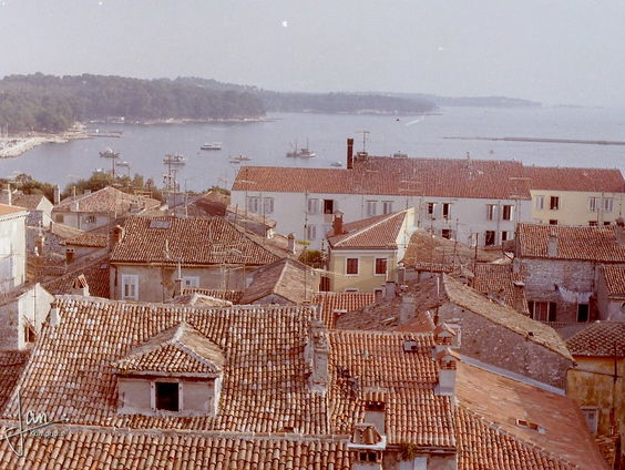 Te gast: Iva Bicanic over de Tranen van Tito