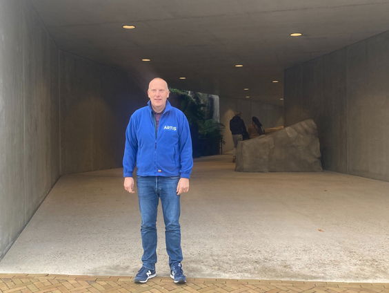 Waarom is de tunnel van het leeuwenverblijf in Artis zo saai?