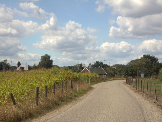 De Kortste Spreekbeurt: Houten