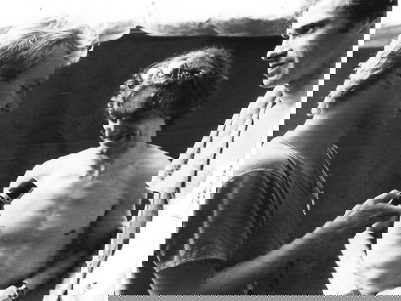 Terug naar Toen: Vandaag in 1979 was de Britse band The Police voor het eerst te zien in Top of The Pops ...