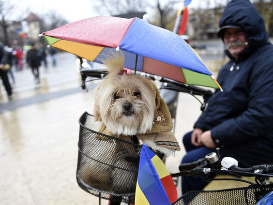 Buitenland uitgelicht: Roemenië