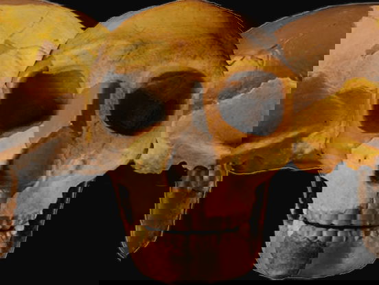 Oude schedel uit China lijkt nieuwe menssoort