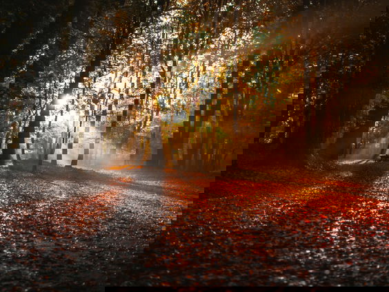 Waar moet een goede herfstserie aan voldoen?