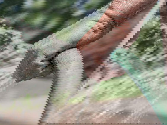 Last van droogte in de tuin? Stop met sproeien!