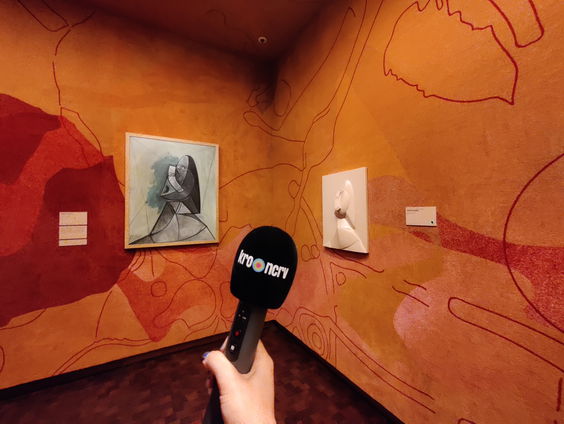 Kunst om te voelen, ruiken en horen. Hoe kijk je naar kunst als je blind of slechtziend bent?