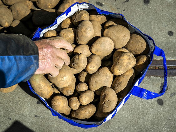 Op ‘t Hollandsch menu: piepers en kool