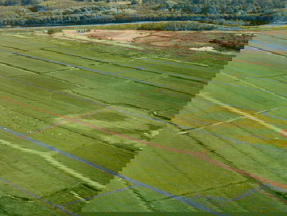 Ruilverkaveling 2.0: de oplossing voor landbouw én natuur?