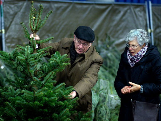 Kerstboom anno 2023: douchestang met guirlandes in de deuropening