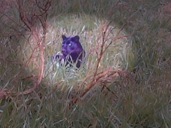 Uitgelicht: Verenigd Koninkrijk